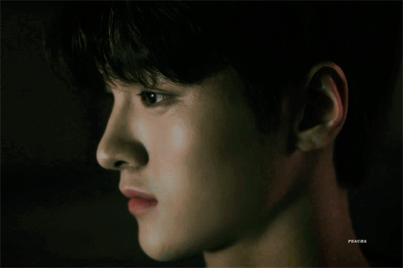 챠코들아 잘 살고있닝 | 인스티즈