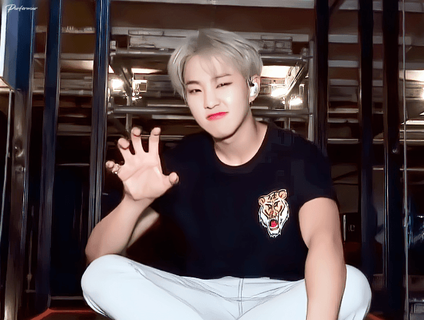 [잡담] 🐯호랑해🐯 뜻 | 인스티즈