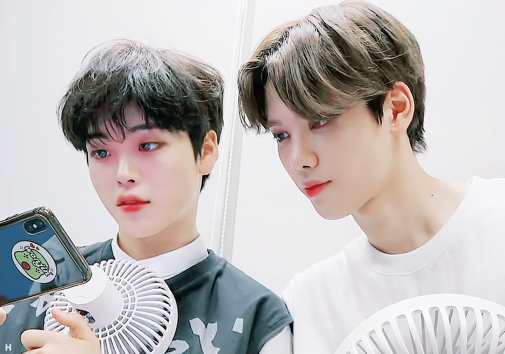 들렘 독방에 들렘심기 | 인스티즈