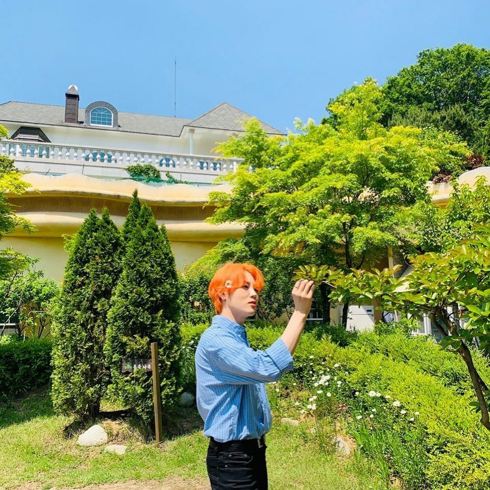 아 하성운 최근에 입덕했는데 진짜 너무 .. 좋다 | 인스티즈