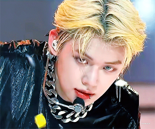 트위터에 남돌 과사 풀렸네 | 인스티즈