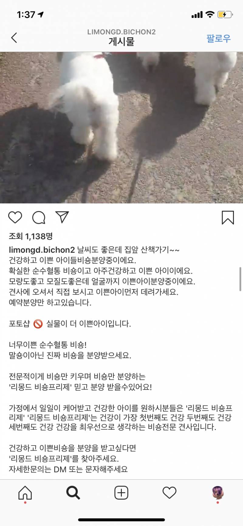 강아지 샵말구 분양받구싶은데 좀 봐주라ㅠㅠ | 인스티즈