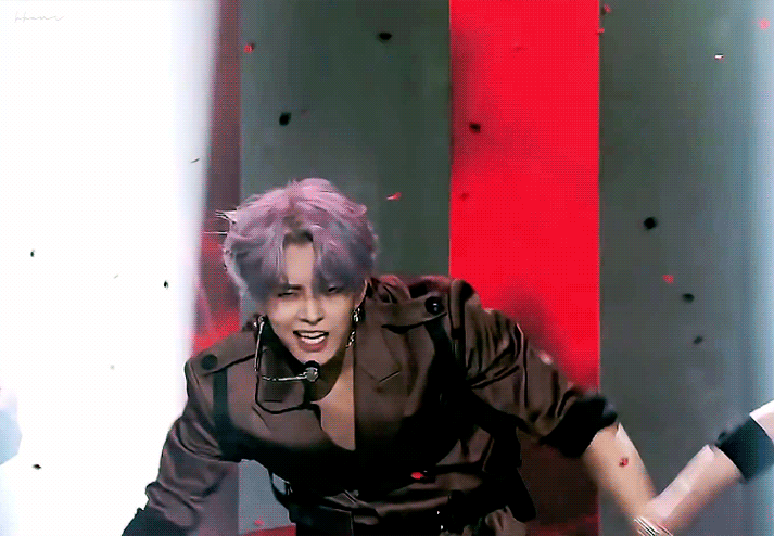 지금 인기글 자컨 뽀짝이 얼굴 자랑 | 인스티즈