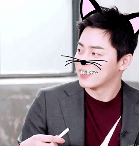 아로하 순위 올라갈 때마다 조정석이 또 - 인스티즈(instiz) 연예 카테고리