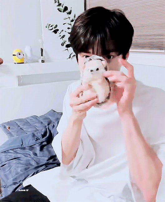 도영이 팬들앙 | 인스티즈