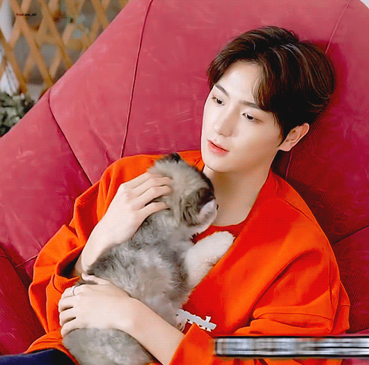 더보이즈+강아지=필승조합 | 인스티즈