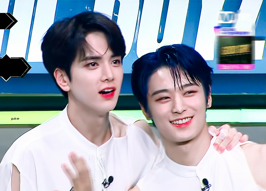 요즘은 고양이랑 강아지들 사이좋게 잘 지내나보다 | 인스티즈