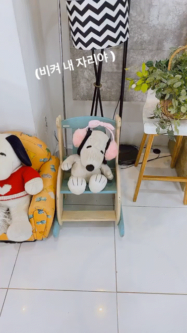 비켜내자리야 | 인스티즈