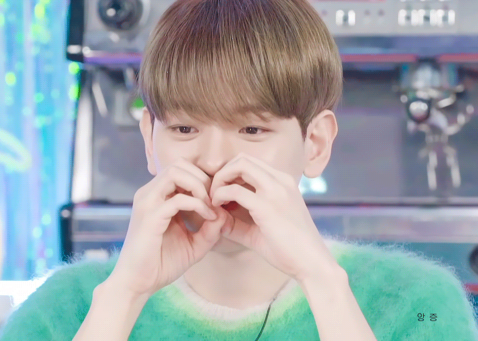 울 천재강아지 백현이 사랑해❤️ | 인스티즈