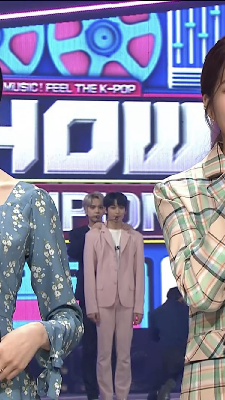 덥뮤다막내 보고가실분? | 인스티즈