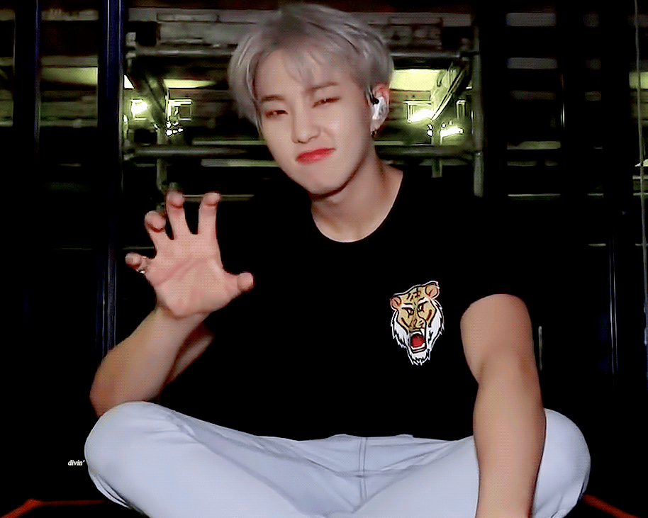 [잡담] 호시 | 인스티즈