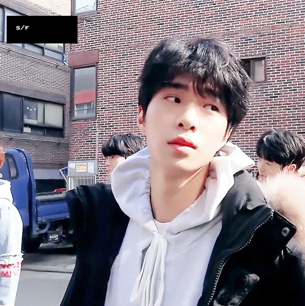 이날은 정말 고릴라 아니라 강아지야 | 인스티즈