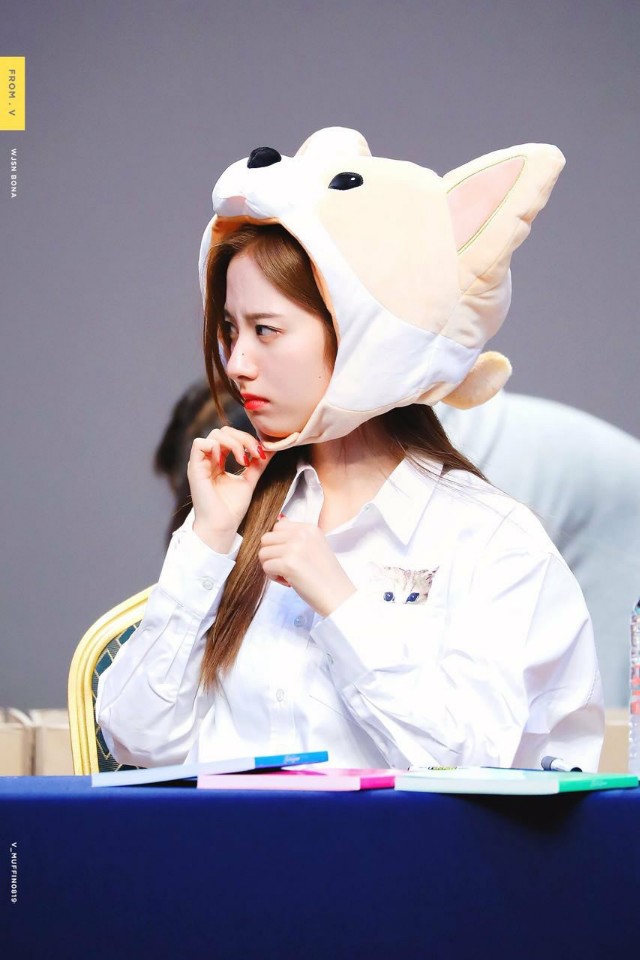 뽀 오늘도 화이팅 ʕ⁎̯͡⁎ʔ༄ 즐거운 하루 보내❤️ | 인스티즈