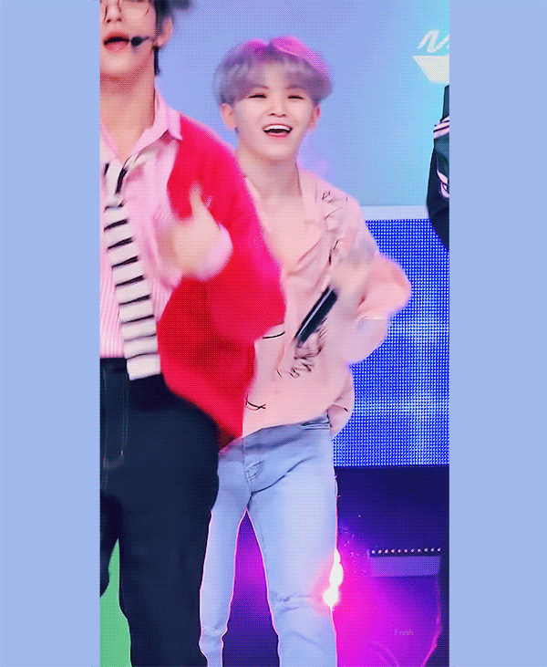 세븐틴에 요정이 있어서 다들 키 큰 줄 모르나본데 | 인스티즈