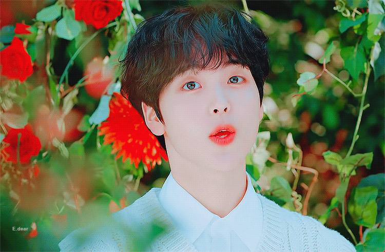 송형준은 쪼푸도 아니고 꿀벌도 아니고 아기판다도 아니야 | 인스티즈