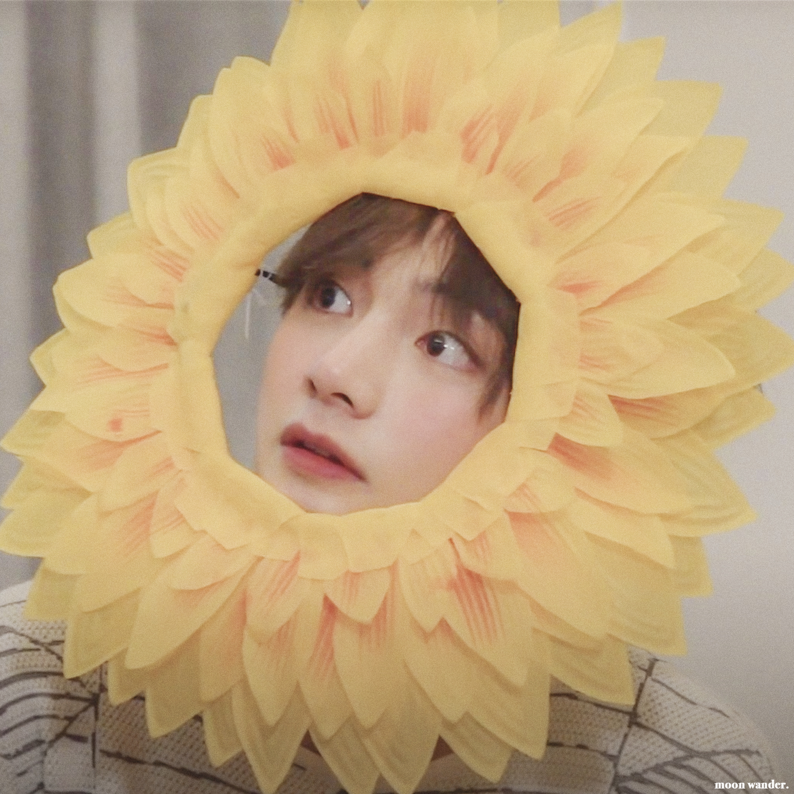 쪼꼬들 귀여운 쪼꼬찐빵 보고가💜 | 인스티즈