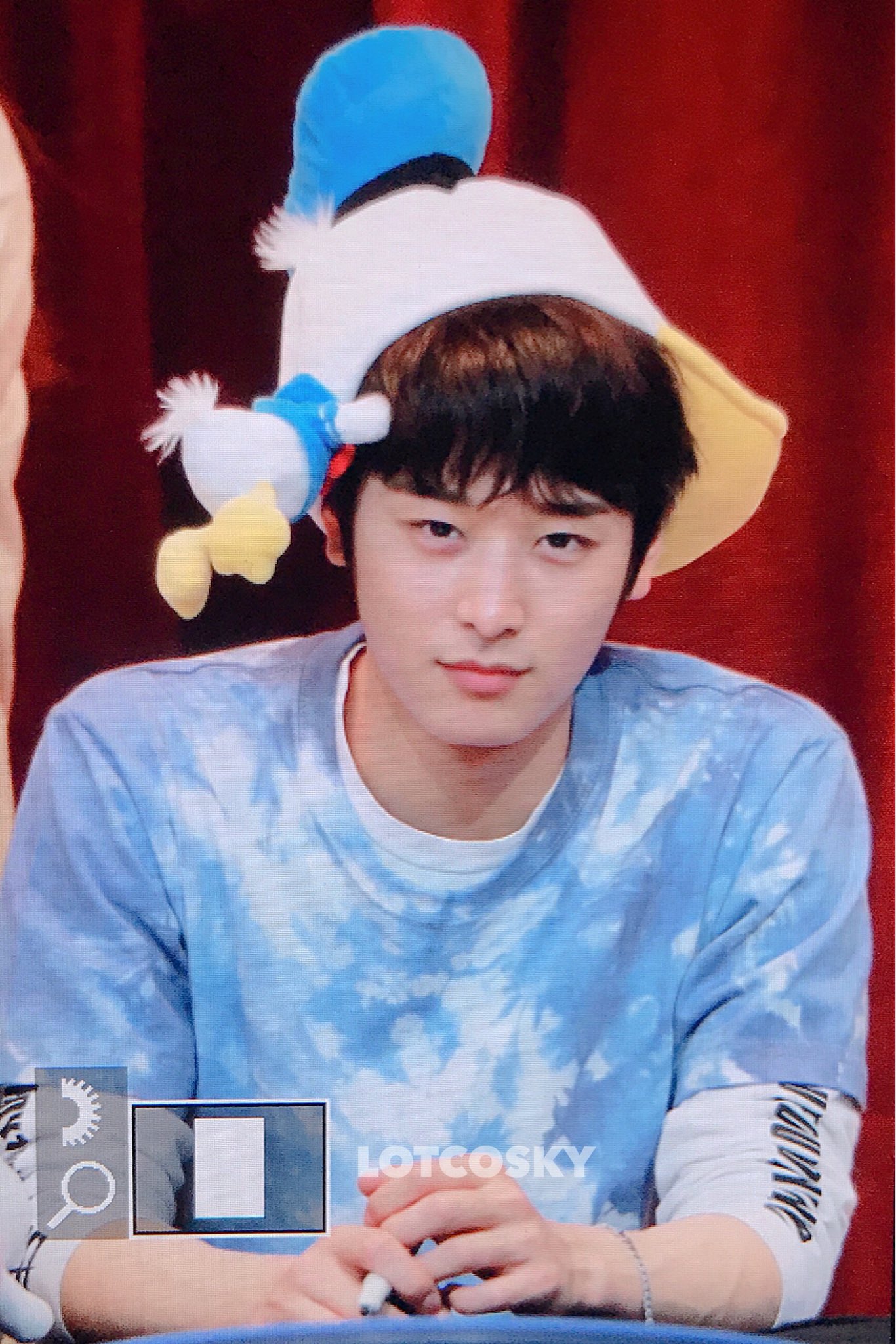 큰일났어 오리가 고양이 자바먹고있어ㅠㅠㅠㅠ - 인스티즈(instiz) 연예 카테고리