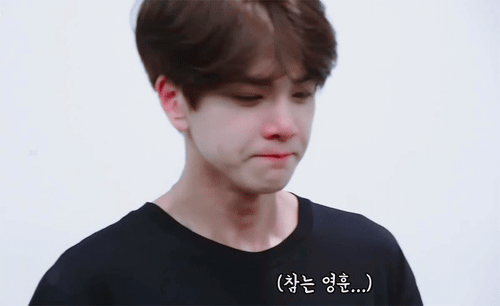 더보이즈 음방 1위하고 우는거 봐야겠음 | 인스티즈