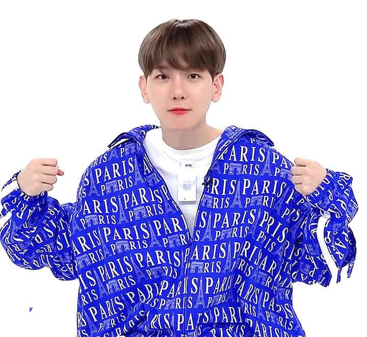 강아지 중에서 제일 사람같음 | 인스티즈