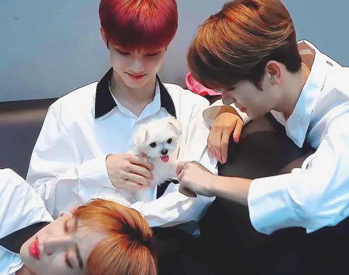 더보이즈 원탑 멤버 | 인스티즈