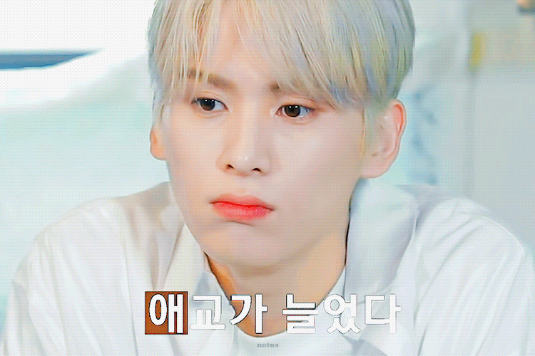 셰뿌들 이 새벽에 쓰러지게 하는 짤 | 인스티즈