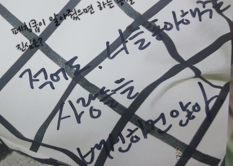 세븐틴 에스쿱스 글이 많길래 끌올 | 인스티즈