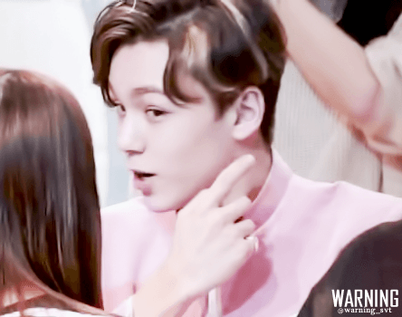 진짜 울 애들 팬싸 레전드 짤 보면 너무 가고싶어 대리설렘(주어 세븐틴) | 인스티즈