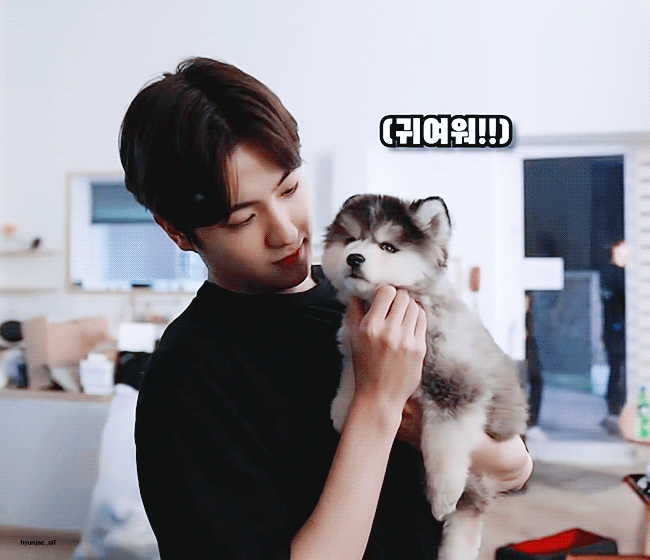 더보이즈+강아지=필승조합 | 인스티즈