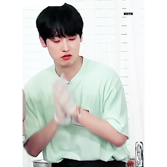 큰방여러분 김인성은 청순고양이 vs 섹시고양이 골라주세여 | 인스티즈