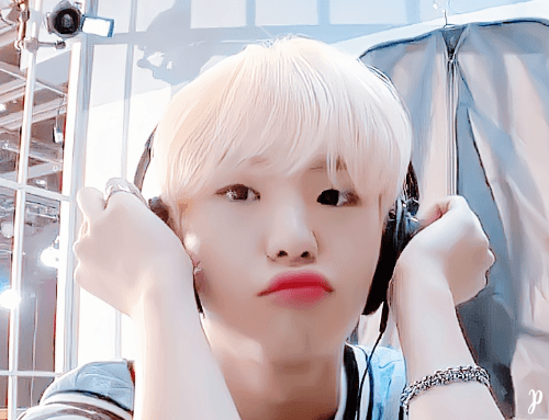 세븐틴 호시 사실 눈 보면 여우상인데 햄찌 모에화되는 이유 | 인스티즈