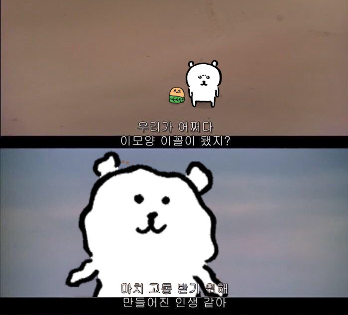 요즘 농담곰 짤 완전 많이 쓴다 - 인스티즈(instiz) 일상 카테고리 요즘 농담곰 짤 완전 많이 쓴다 - 인스티즈(Instiz) 일상 카테고리
