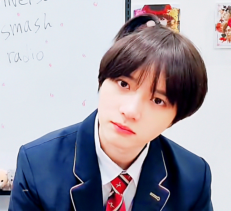 범규 데뷔초때는 곰돌이 인정. 근데 지금은 누가봐도 말티쥬잖아요? | 인스티즈