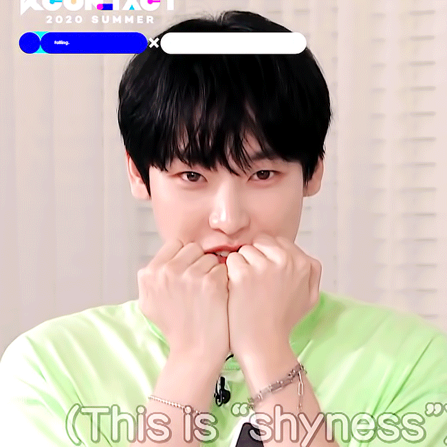 큰방여러분 골라주세요 김인성은 아기고양이다 햄찌다 | 인스티즈