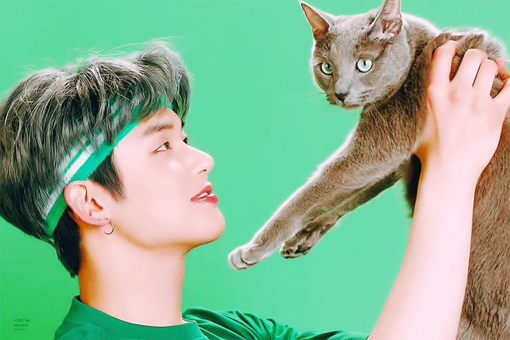 웅냥냥고양이 보고갈사람 | 인스티즈