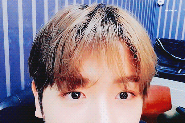 그냥 자꾸 짤털하고 싶어서.. 덥뮤다 눈감고 고른 사진 짤털.. | 인스티즈