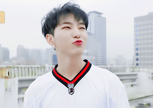 호시 햄찌파 다들 모여 | 인스티즈