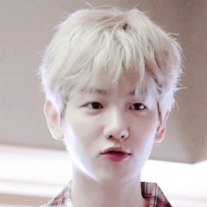 이 갱얼쥐 너무 귀여워 | 인스티즈