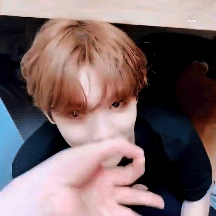 본진내 강아지들 누구야?! 🐶 | 인스티즈