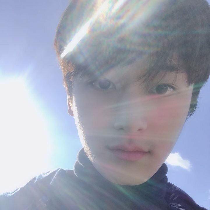 고양이야 뭐야 왜 사진을 이렇게 찍어 | 인스티즈