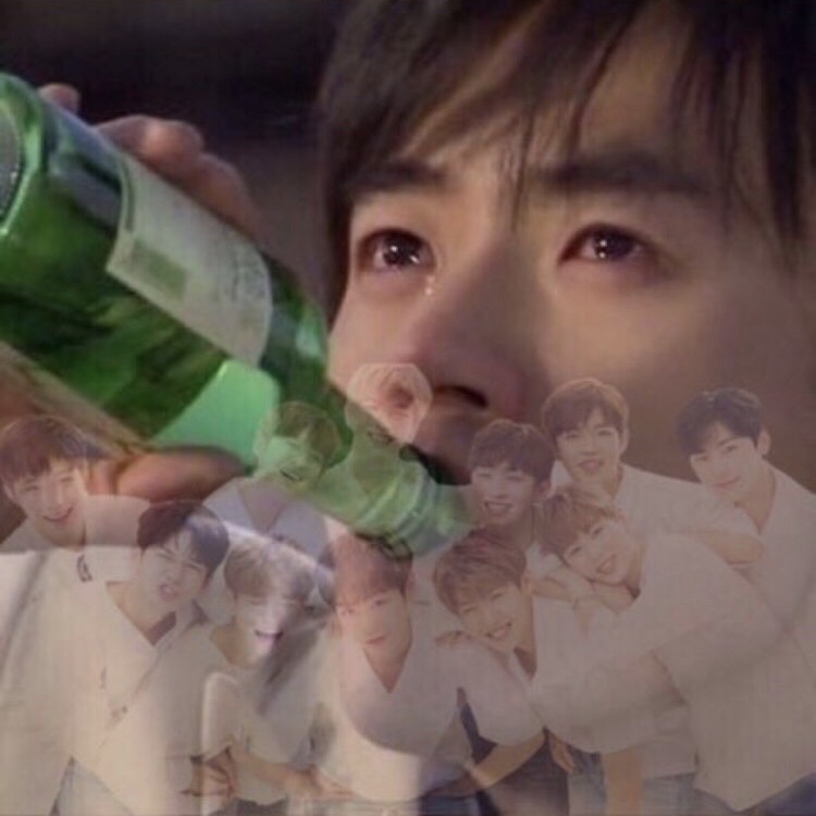 야 워너원 개보고싶어ㅠㅠㅠㅠㅠㅠㅠ | 인스티즈