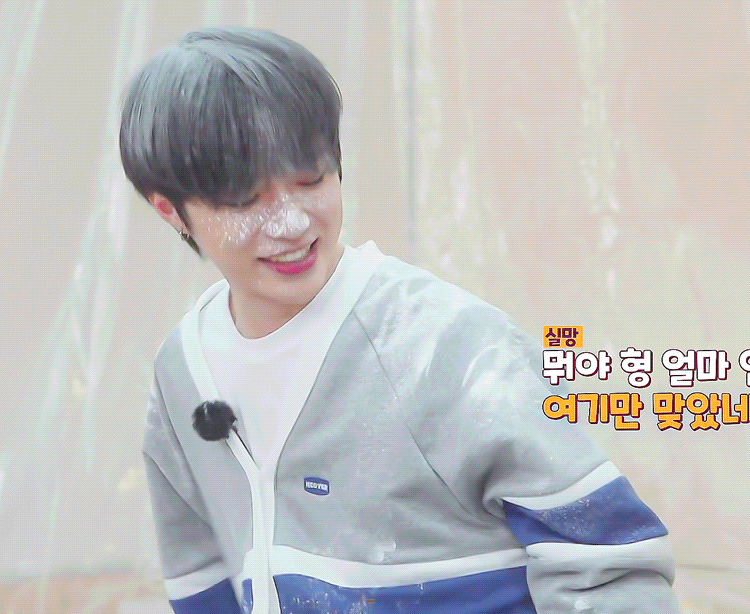 범규 데뷔초때는 곰돌이 인정. 근데 지금은 누가봐도 말티쥬잖아요? | 인스티즈