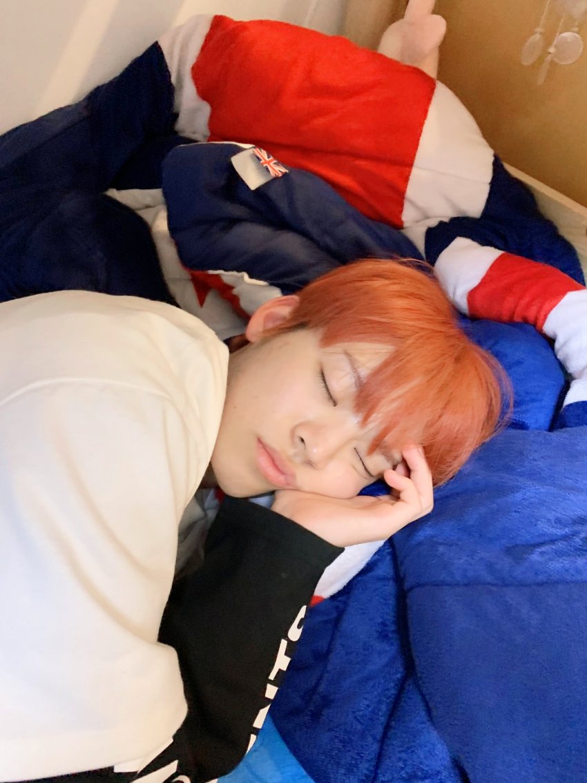 효진이 흑돼지 돈가스 배불리 먹고 푹 자고 있니 | 인스티즈