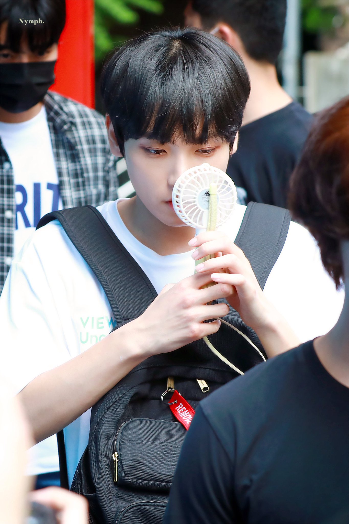 큰방여러분 골라주세요 김인성은 아기고양이다 햄찌다 | 인스티즈