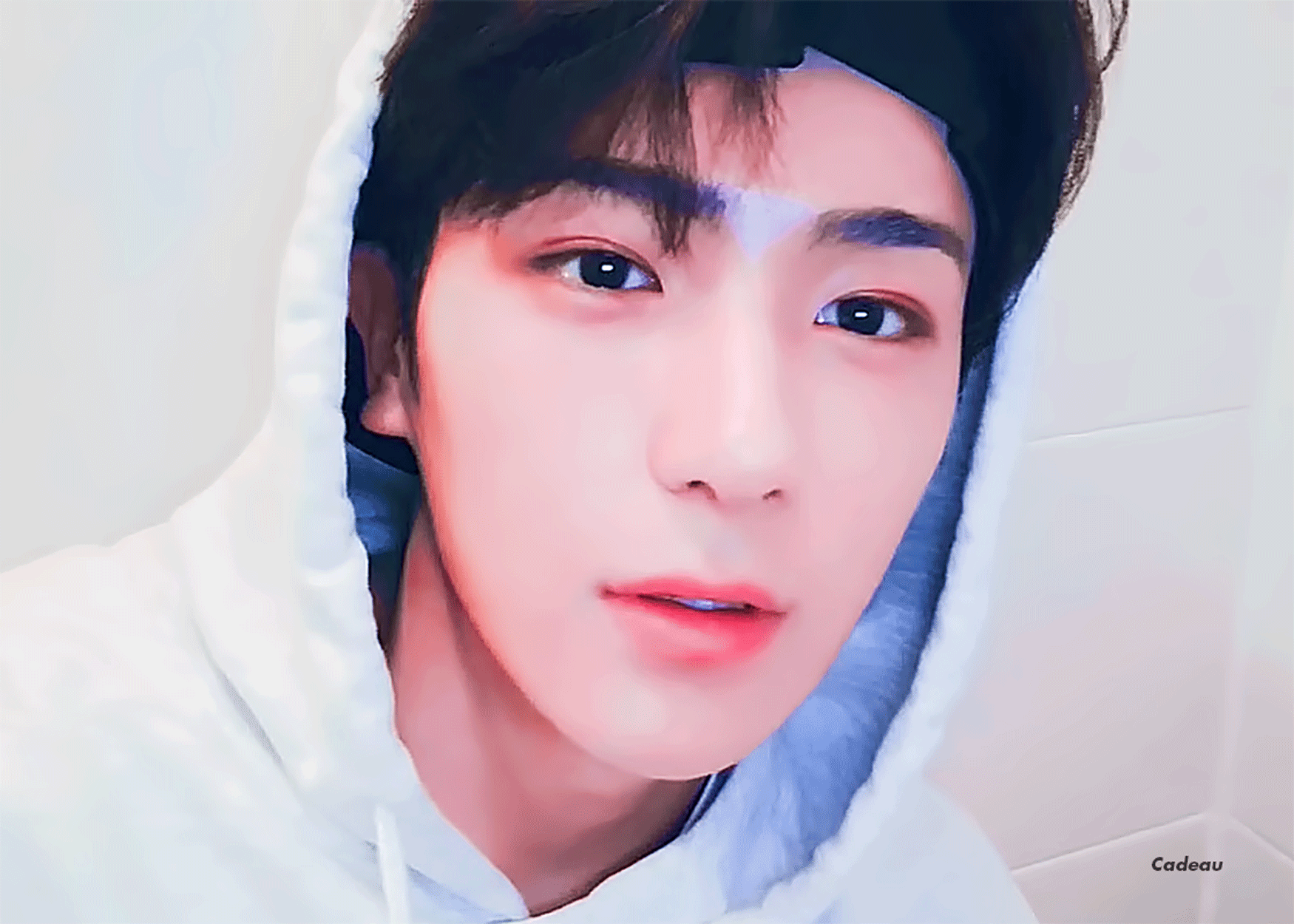 냉미남이야 온미남이야? 하나를 딱 못고르겠어 | 인스티즈