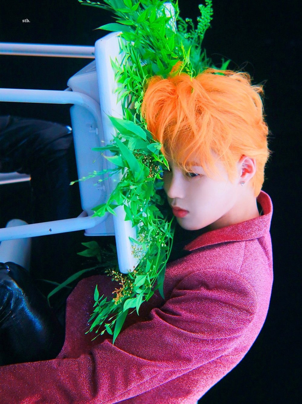 톤그로라는 찐한 오렌지머리 내 새꾸도 했써여🧡 | 인스티즈