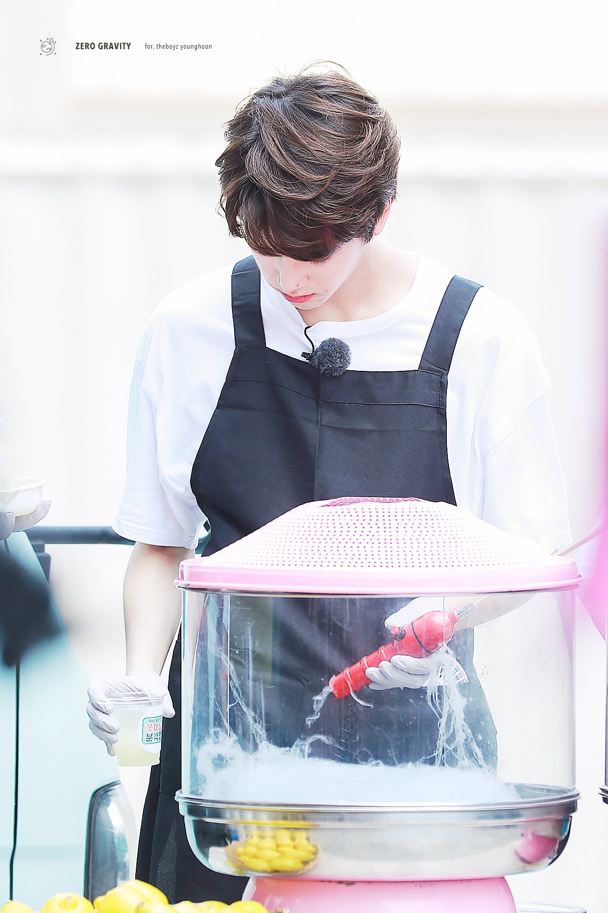 울 말티쥬 보고싶어ㅠㅠㅠ | 인스티즈