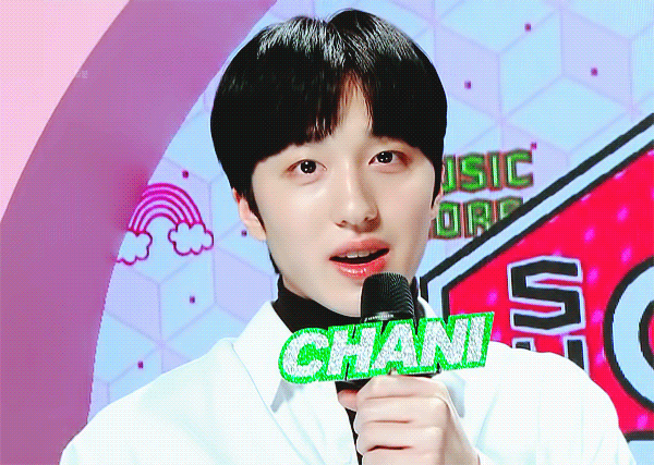 비비빅 바밤바 순대국밥 좋아하고 신조어 모르고 친구랑 만나면 안무짜고 고양이 3마리 키우고 매사에 덤덤하면서 열심히 하는 | 인스티즈