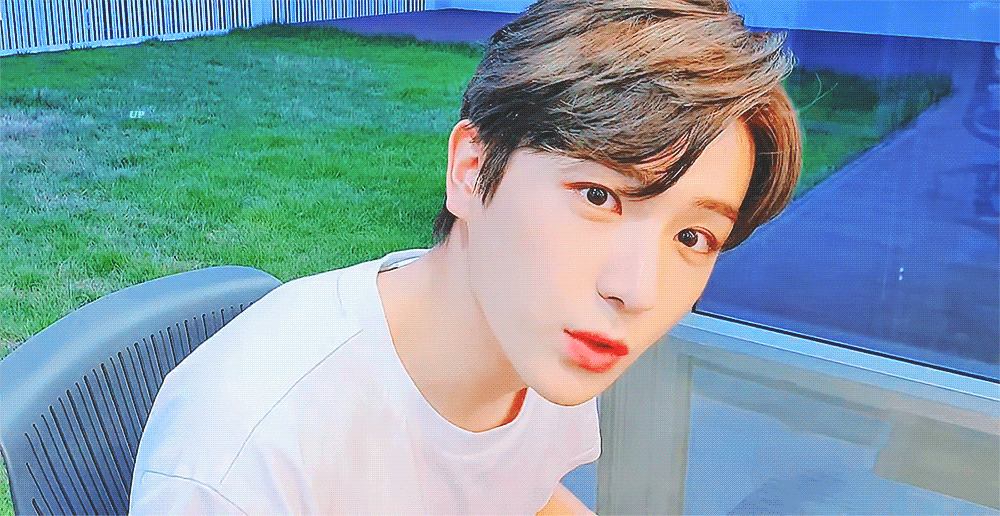 다들 본진에 너구리나 곰 있어? | 인스티즈