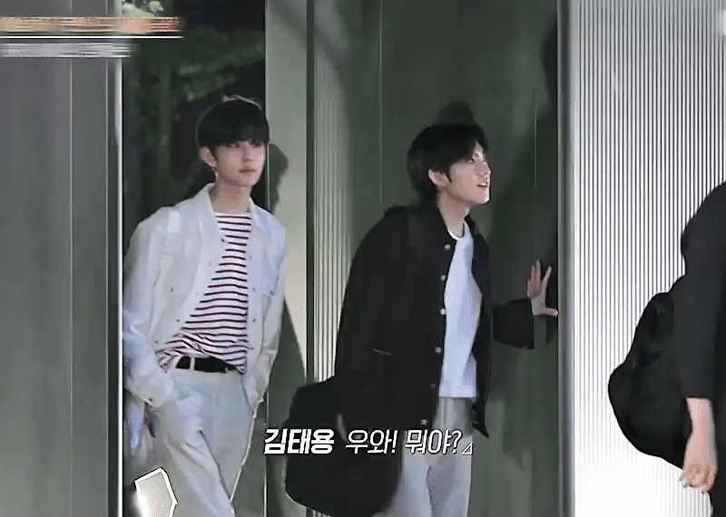 아이랜드 그라운드에 갇혀있는 이 두 비주얼을 잊지 말아주세요❗❗❗ | 인스티즈