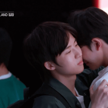 내가 좋아하는 아이랜드 관계성들 | 인스티즈